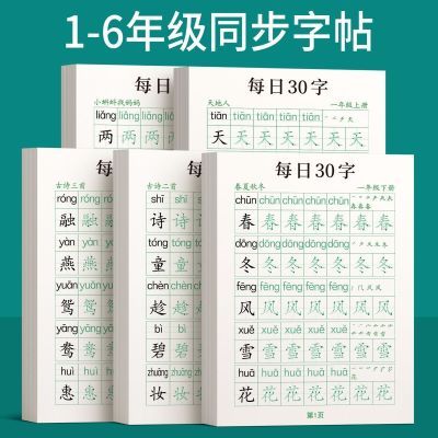 一年级下册练字帖带拼音4-6年级生字打卡每天30字课本同步练字帖