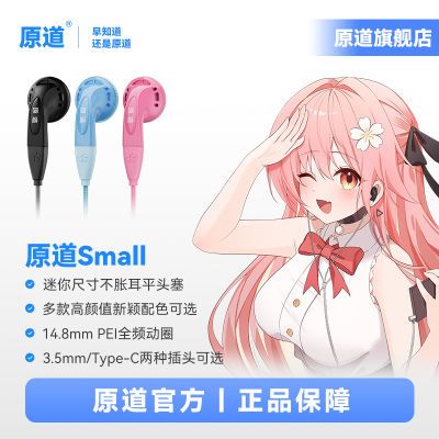 ԭ��SmallС�ߴ粻�Ͷ�ƽͷ��hifi����3.5mm/Type-cԭ�����߶���19.99Ԫ