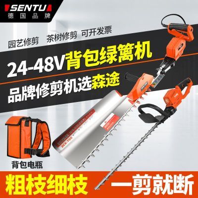 ڲ¹ɭ;綯ʽҶ޼ʴ֦ʽ֦581Ԫ