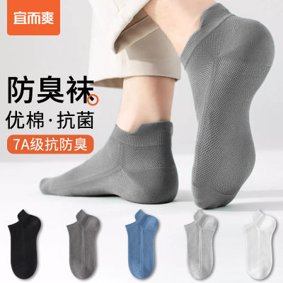ڲ˶ˬļͲ͸Ů25.9Ԫ