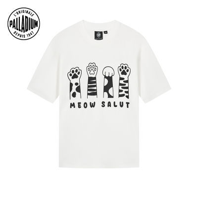 ڲPALLADIUMʱпɰͼпT169Ԫ
