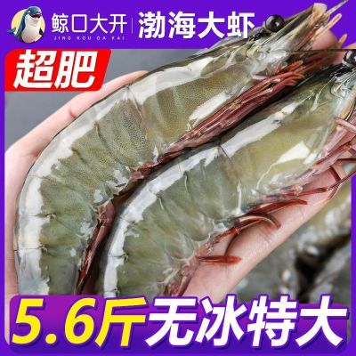 ���ڲ����������ڴ󿪡�ˮ��������Ϻ�ش�Ϻ�Ӻ�Ϻ��Ϻ��Ϻ�䶳Ϻ���ʴ�Ϻ 57.8Ԫ