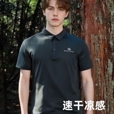 ڲPOLOٸTļpolo͸72Ԫ
