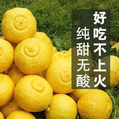 湖南怀化黄金贡柚正宗春香纯甜水果