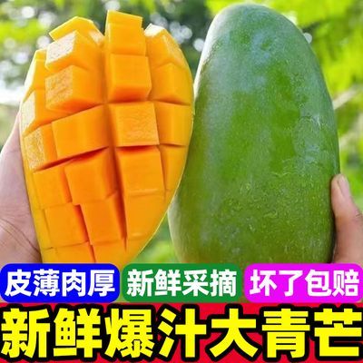 âӦиˮƤâԾ4.512.99