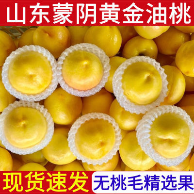 ڲɽƽˮƤë֭ժ4.5/35ڷ18.7Ԫ