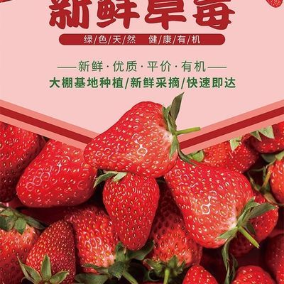 新鲜酸草莓糖葫芦蛋糕店榨汁等商用大果整箱包邮偏酸请不要误拍优惠商品图片