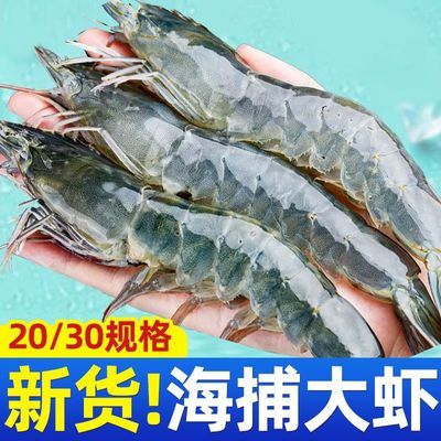 ���ڲ�����������Ʒ���ʴ�Ϻ�䶳�ش��ΧϺ��Ϻ��Ϻ�ƺ���Ϻһ���亣������ 67.7Ԫ