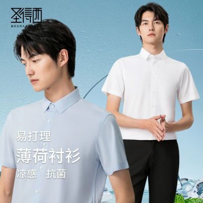 ���ڲ�����ʥ�����������������ļ���ʿ�״�������׳��±�����ά������� 96.9Ԫ