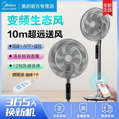 ڲĵֱƵһʽҶңضʱҡͷ569Ԫ