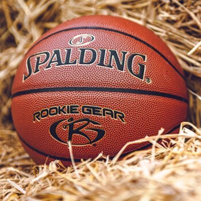 ڲ˹Spaldingͯ5PUСѧѵ76-950Y116Ԫ
