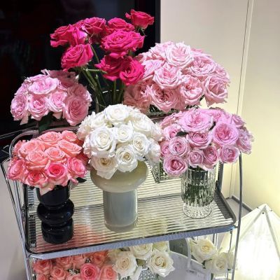 玫瑰花新鲜黛安娜玫瑰卡罗拉多色可选插花水养粉红黄玫瑰单头大花