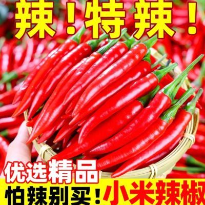 新鲜现摘小米辣朝天椒辣椒指天椒红辣椒鲜椒