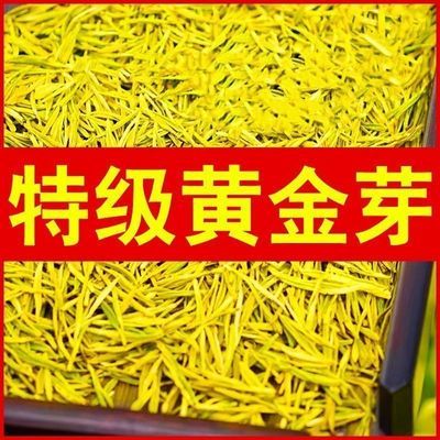 金色嫩芽】正品25年新茶正宗安吉珍惜白茶特级黄金芽浓香型绿茶