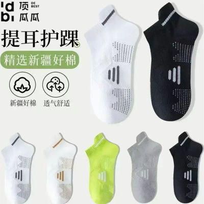 ���ڲ�����[���Ϲ�]͸������̿�����ļ�����͸�������ܲ�������������ʿ���� 5.38Ԫ