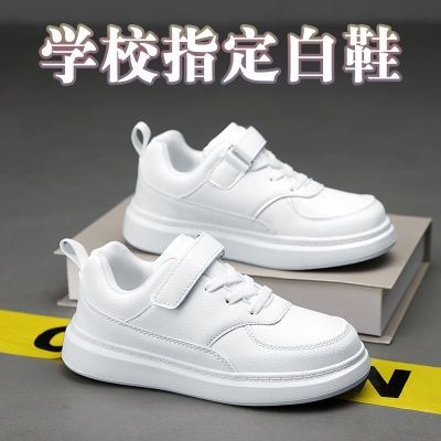 ڲѾͯЬ2025¿ͯЬУ԰˶СЬдͯŮͯ35.9Ԫ