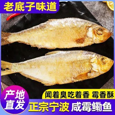 宁波正宗野生腌制三刨咸鳓鱼霉力鱼宁波咸勒鱼霉香鱼咸香鱼老式鱼