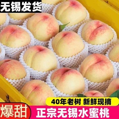 正宗无锡水蜜桃软桃新鲜水果毛桃应季桃子蜜桃礼盒整箱产地直发【6月5日发完】