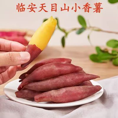 新鲜正宗天目山小香薯板栗红薯地瓜沙地番薯现挖黄心蜜薯糖心香甜