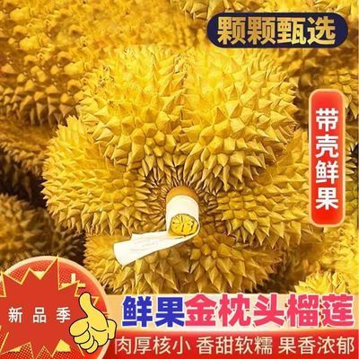 【新鲜直采】正宗进口金枕榴莲新鲜带壳榴莲应季水果包邮自有果园