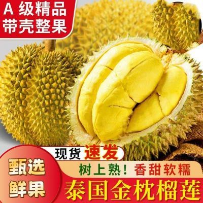 【泰国金枕】精选果园进口新鲜树熟软糯榴莲整个坏果包赔包邮现货