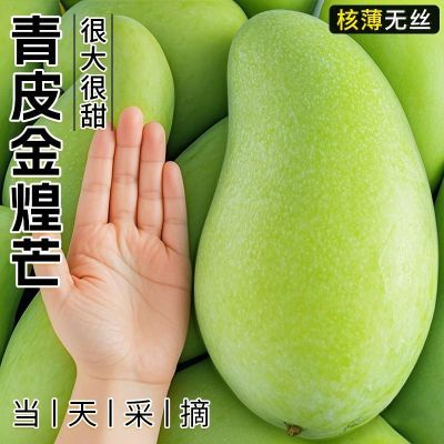 ڲ䡿â4.5ﵥ250gˮƤââ17.9Ԫ