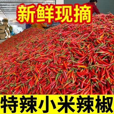 新鲜现摘小米辣朝天椒辣椒指天椒红辣椒鲜椒