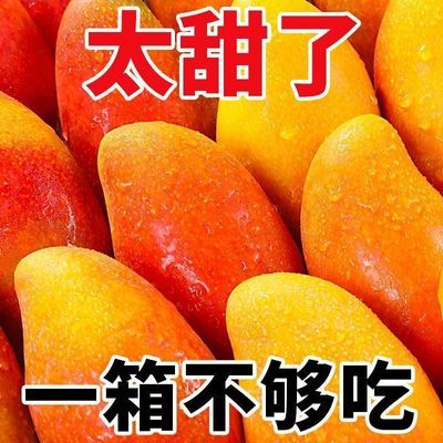 正宗海南贵妃芒果小果当季新鲜孕妇水果红金龙彩虹芒甜心芒一整箱