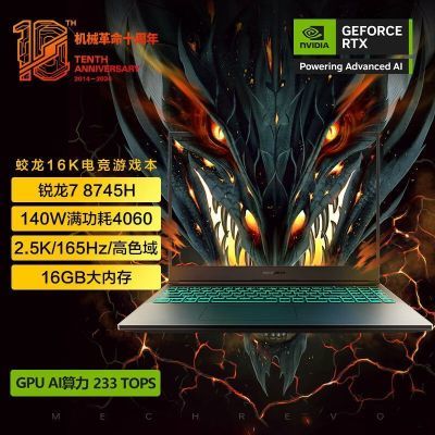 е16K R7-8745H RTX4060 16Ӣ羺ϷʼǱ5ڷ R7-8745/RTX4060 16GB 1TB SSD4999Ԫȯ