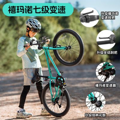 ���ڲ�������˾�Ʒ��ͯ���г����Ͻ�6-12���д�ͯɽ�س���Ů������Ů��� 407.9Ԫ