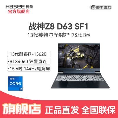 ڲȯ400 սZ8D63 SF1i7-13620H 4060ϷʼǱ4799Ԫ
