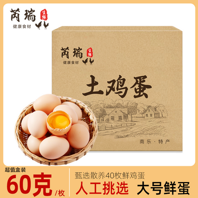 ڲ̳Ʒʡ40öũ60Ʒɽɢ10ö10.2Ԫ