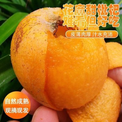 四川高山露天花麻土枇杷皮薄汁多花皮果甜丑甜琵琶时令鲜果自然熟