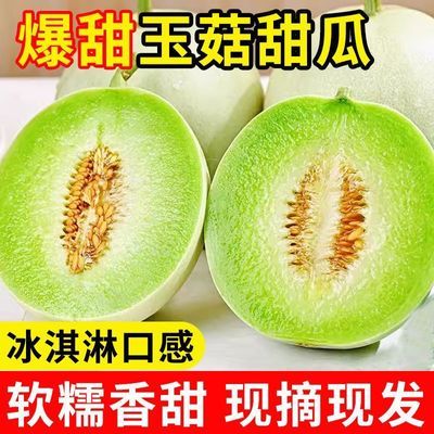 Db山东玉菇甜瓜新鲜冰淇淋正宗水果应季当季现摘蜜瓜香瓜批发
