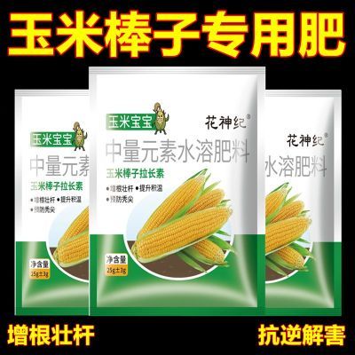 玉米宝宝玉米高产专用生根壮棵籽粒饱满抗倒伏棒大粒大增产叶面肥