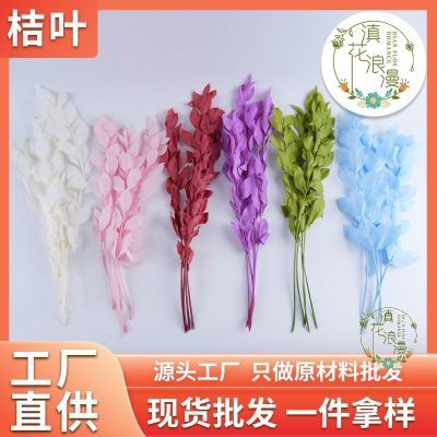 永生花桔叶干花高级diy花束家居装饰手工插花桔叶橘叶工艺品配