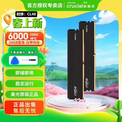 ӢDDR5 6000Ƶ 24GB*2 ̨ʽڴProϵϷ675Ԫ