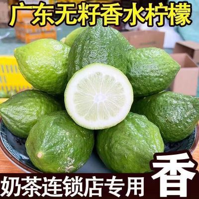 广东无籽香水柠檬爆香香柠青柠檬奶茶店商用专用新鲜现摘现发