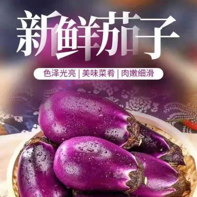 现摘紫皮圆茄子带箱5斤 到手仅需 8.81新鲜采摘 椭圆紫皮茄子 甜甜的 表皮脆脆的 内里软绵绵https://p.pinduoduo.com/xSaeDunY