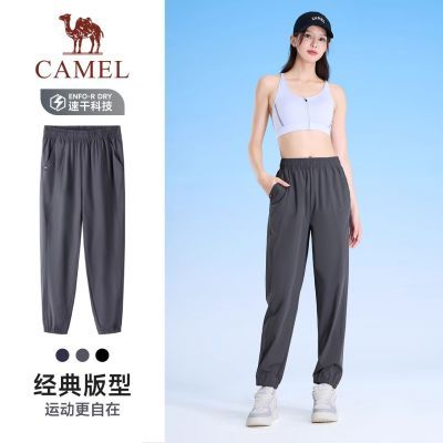 ���ڲ��������ջ����˶��ٸɿ�2026�����¿�͸�������������������ܲ������� 68.3Ԫ