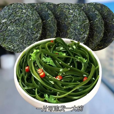 【霞浦2025】压缩海带丝无沙圆饼免切凉拌菜小包装压缩片海带头