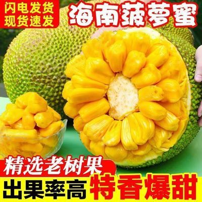 现摘现发海南菠萝蜜一整个新鲜水果当季干苞木波罗蜜整箱批发包邮