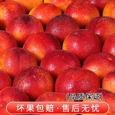 16.9 5斤新鲜现摘油桃酸甜可口，软硬两吃，咬下满满都是扎实的果肉与汁水https://p.pinduoduo.com/4nFescgu