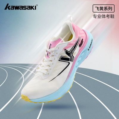 ڲKawasakiܲЬ忼Ьɻϵȫ̼ĥ͸пѧ359Ԫ