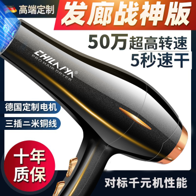 吹风机大风力发廊大功率电吹风筒理发店家用蓝光负离子护发静音