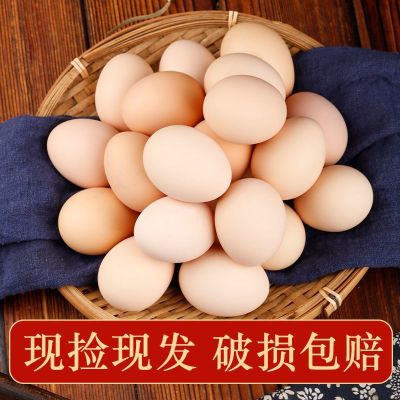 高营养初生蛋30枚农家正宗土鸡蛋散养农村笨鸡蛋幼童高营养鸡蛋50