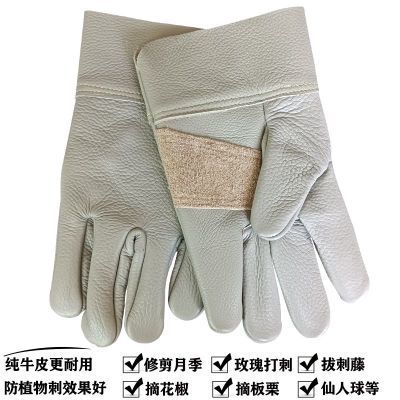 摘花椒防扎手套花椒下枝左手短厚皮手套花椒基地防刺手套园艺手套