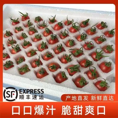 ڲ˳᡿ǧСӦʥŮˮС2.919.3Ԫ