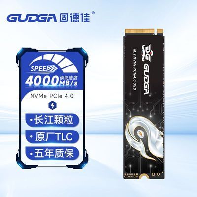 ̵¼PC300 M.2 NVMe PCIe4.0 256G 2280̬ӲSSDTLC115Ԫ
