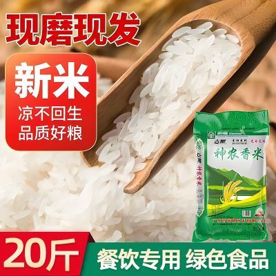 吉耀20斤新米晚稻丝苗米50斤餐馆专用香米长粒煲仔饭炒饭食堂大米
